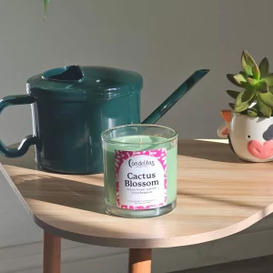 Cactus Blossom Soy Candle