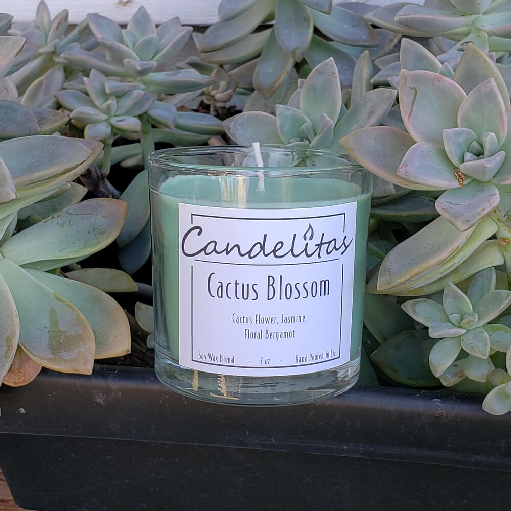 Cactus Blossom Soy Wax Candle Candelitas