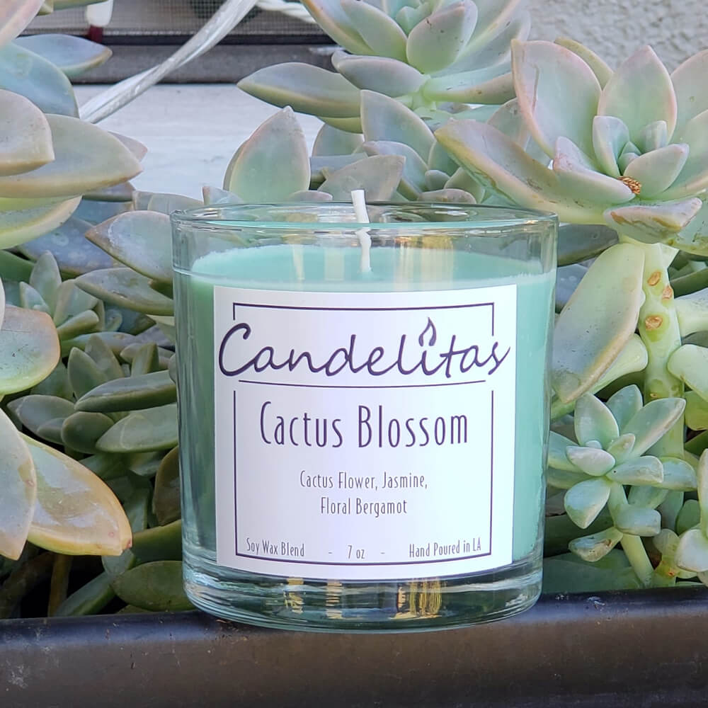 Cactus Blossom Soy Wax Candle Candelitas